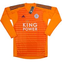 leicester city goalie kit